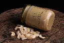 Vida_Primal-Pasta-Castanha_Caju_Macadâmia-2.webp